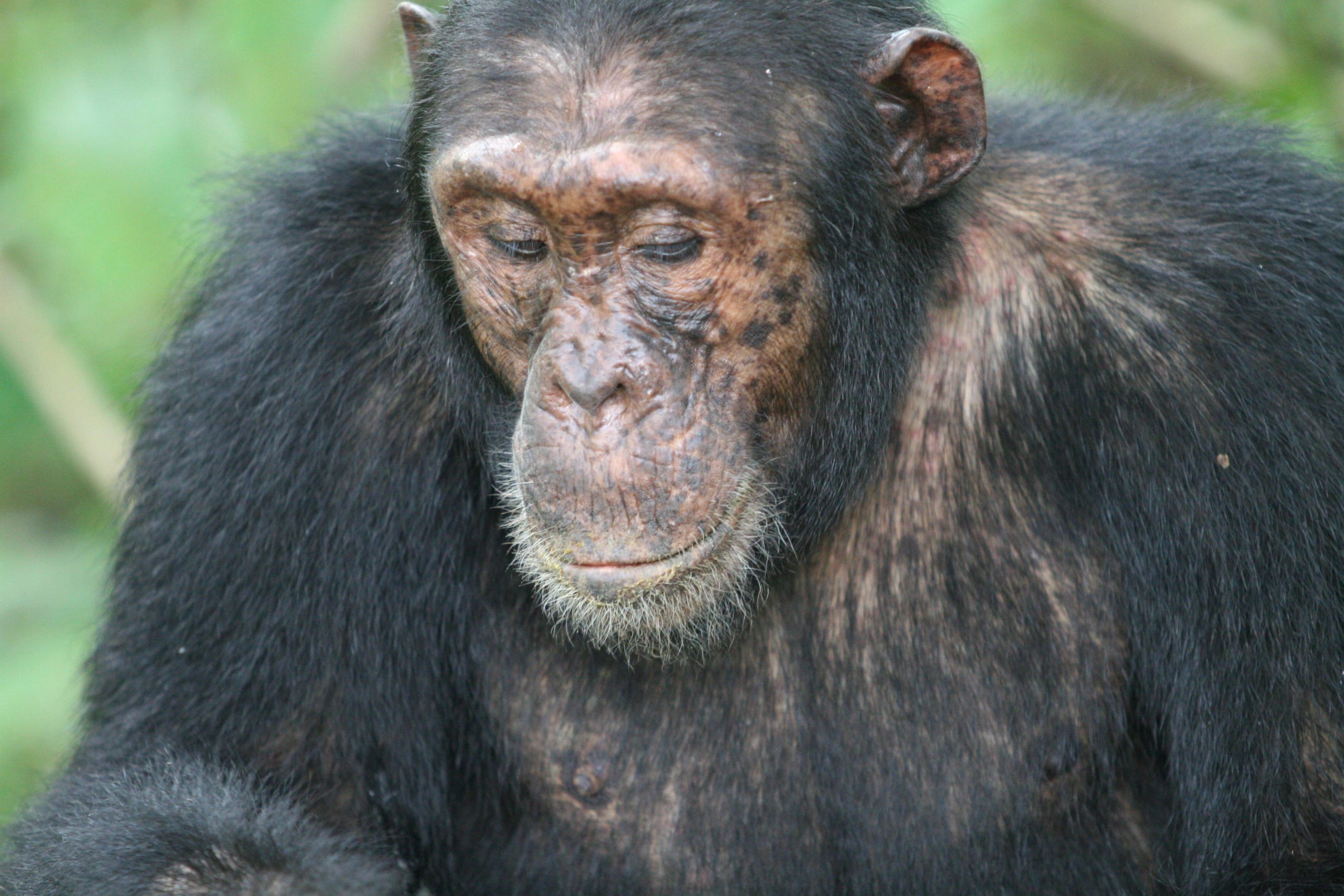 Blog List Featured Image